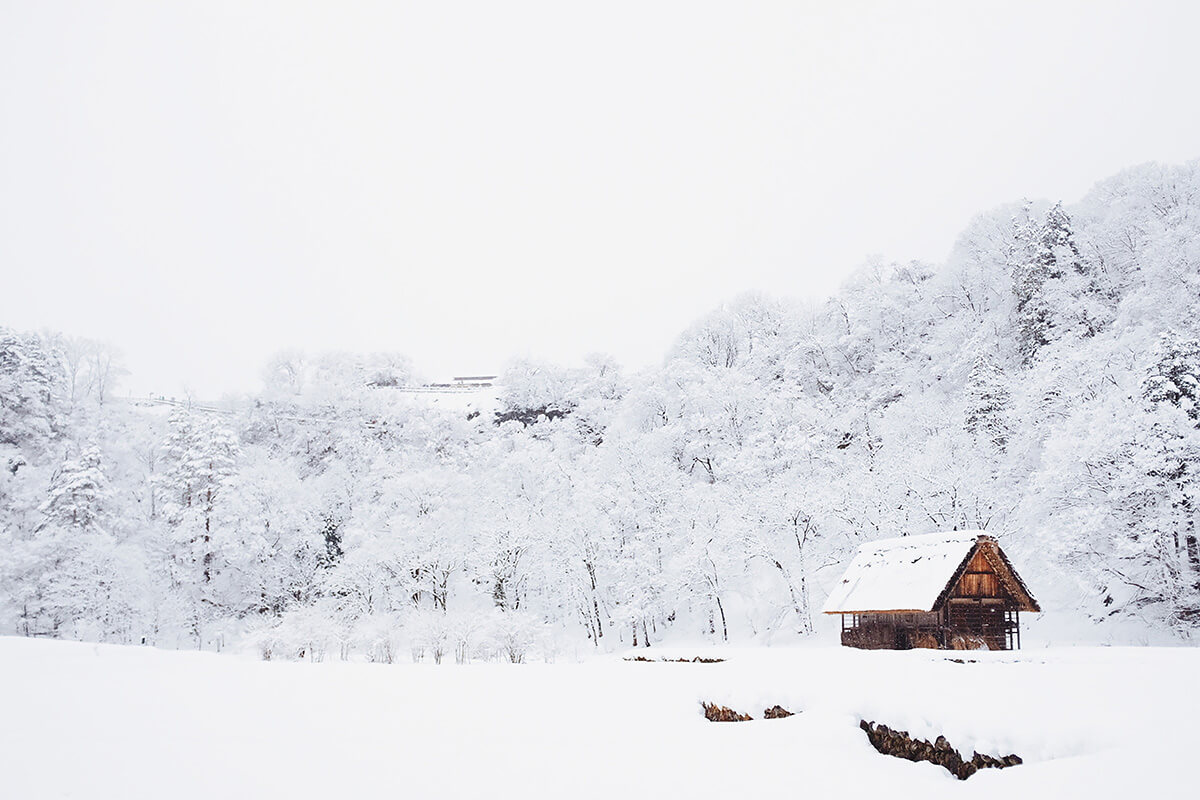 Efficient Heating for Tiny Homes